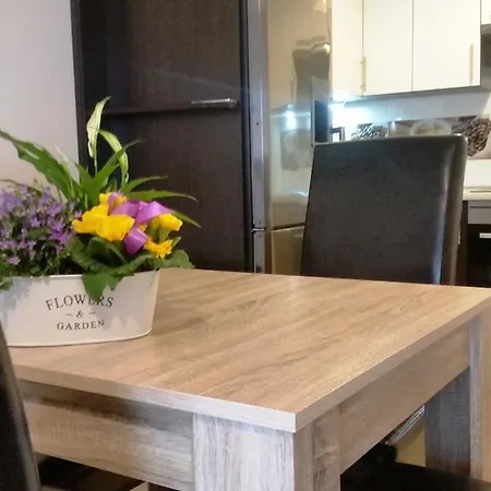 Albatros Deluxe - Sg Apartmán Gdaňsk